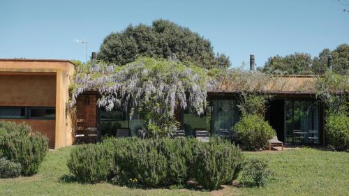 Fundació l'Olivar Hotel Bar Restaurant