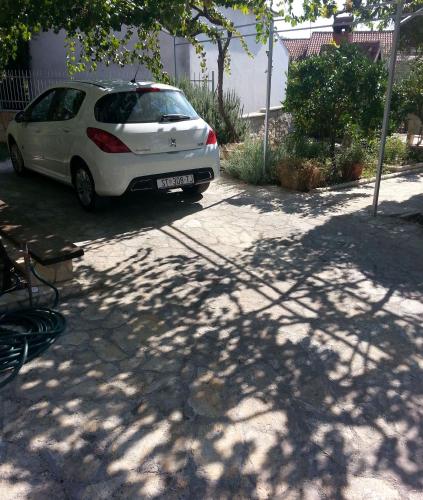 Apartment Branka - image 11
