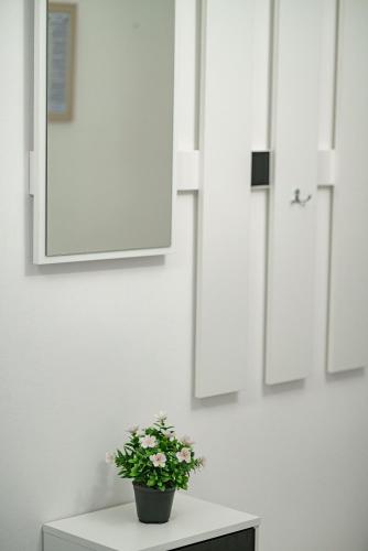 One-Bedroom Apartment image 10