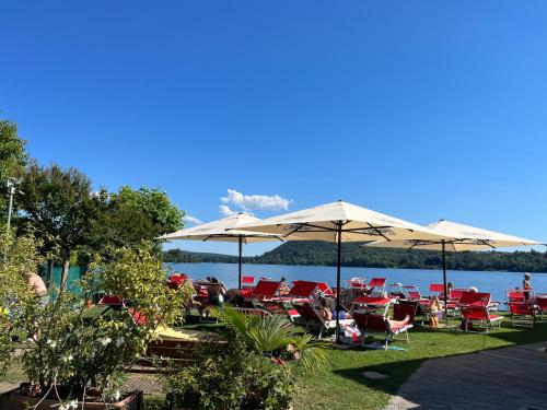 Il gufo e il gatto del lago - Travedona-monate