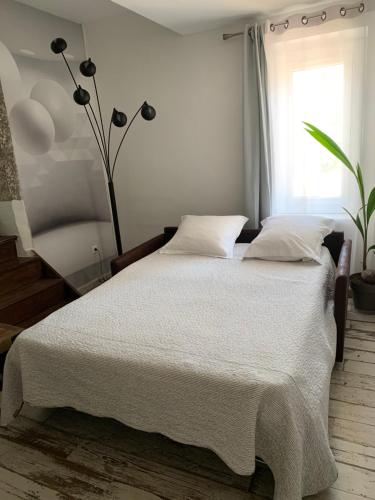 Les dahlias appartement 4 personnes Jacuzzi Barbecue Jardin arbore Climatise in Agde City Center