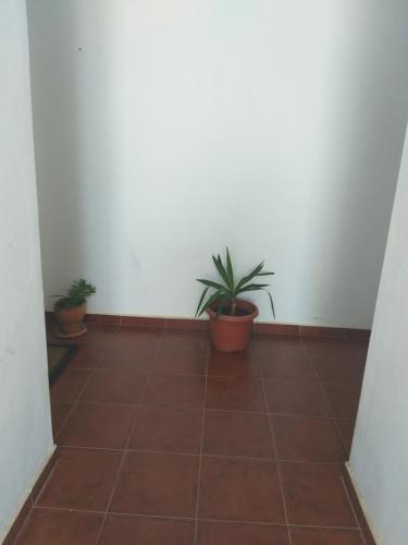 Bel appartement meuble B 16 in Sidi Bouzid
