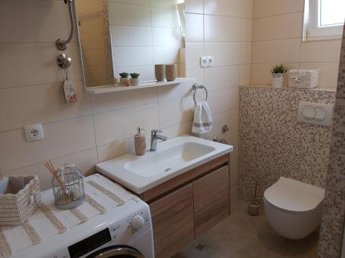 Apartment Anton - image 10