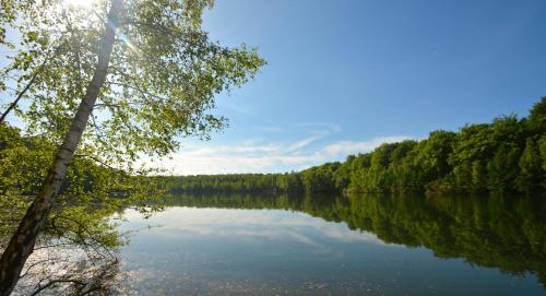 Nature Cottage Villa for 4 people 3 gîte à louer Famars