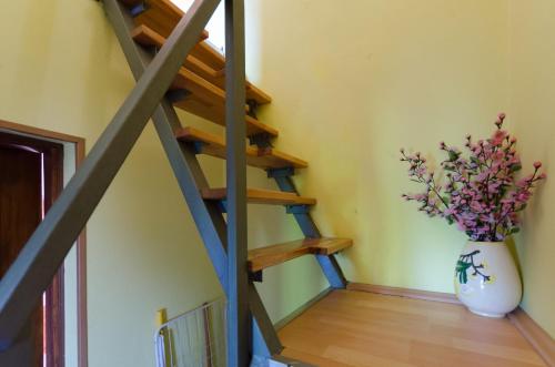 House Nado - image 10
