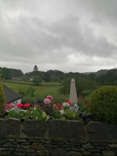 The Brown Horse Inn - main image