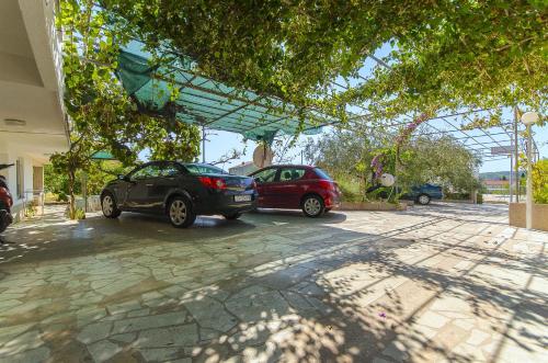Apartments Maslina - image 5