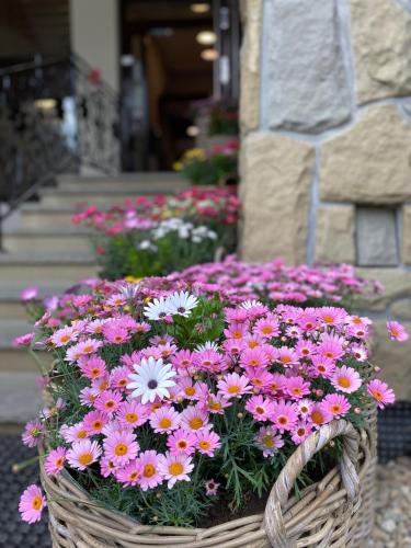 Hotel Nosal Ski & Wine – Zakopane, IA