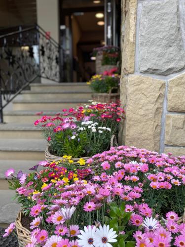Hotel Nosal Ski & Wine – Zakopane, IA