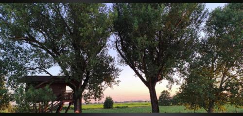 La Casa sull'albero Oasi Certosa di Pavia