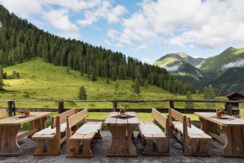 Berggasthaus Höllensteinhütte - image 7