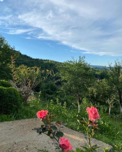 Vidikovac BIJELO POLJE - image 8