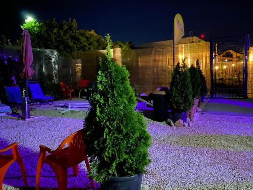 Aurora Glamping in 瓦馬韋切