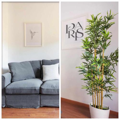 Rosaleda 13 con parking incluido by Pineapple Homes, Malaga (foto 4)