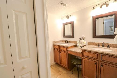 Sand Dollar 1-105 - image 2