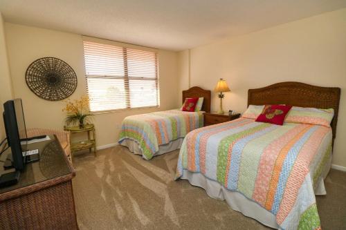 Barefoot Trace 213 - image 7