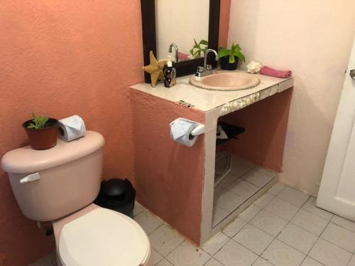 Casa Estelar 2