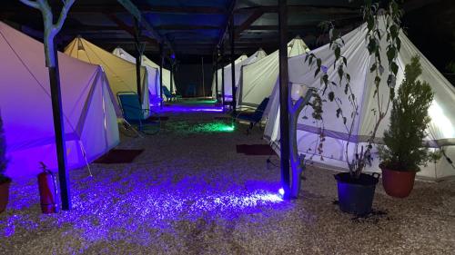 Aurora Glamping in 瓦馬韋切