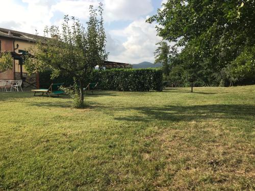 Superior Apartment - Olivastra