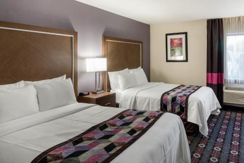 市中心康福特茵酒店 市中心康福特茵酒店