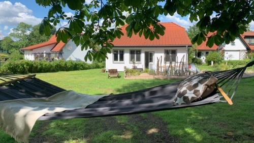 Lille Schlei Hus in Boren, Deutschland