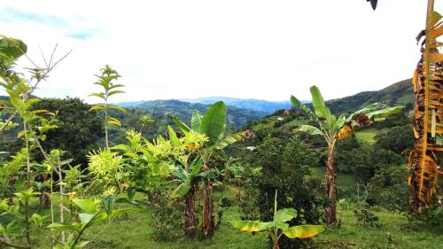 Finca El Recuerdo