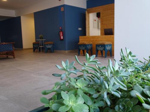Aula, Casazul M&B in Cercal