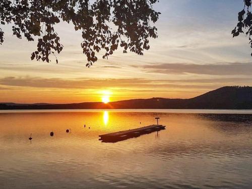 บริการและสิ่งอำนวยความสะดวก, person holiday home in BOLLNAS in วอลล์สทา