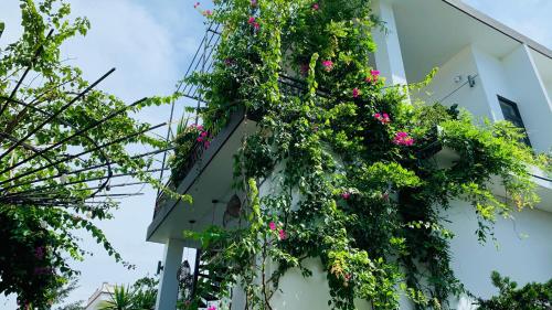 Coto Center Homestay