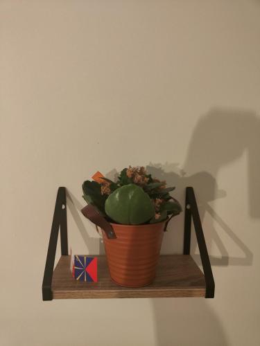 Très grand appartement de 76m2 à Strasbourg, Strasbourg (photo 7)