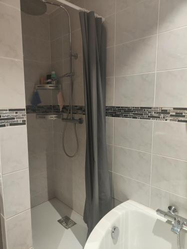 Très grand appartement de 76m2 à Strasbourg, Strasbourg (photo 9)