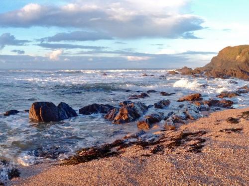 4 Thornlea Mews - image 7