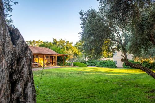 כפר הנופש קיבוץ גדות Kibbutz Gadot Galilean Resort