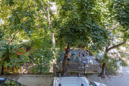 Great Location Apartment Great Location Apartment