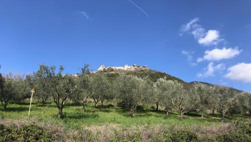  Casa Francesco App Kevin, Unterkunft in Rocchetta