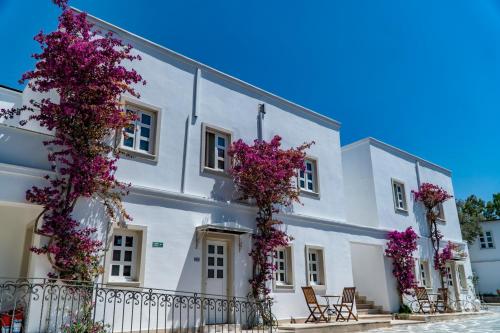 Comca Manzara Hotel - image 8