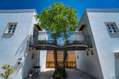 Comca Manzara Hotel - image 14