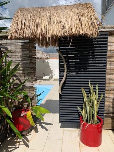 Gite Corossol Martinique piscine privee, residence naturiste in סיינט לוק
