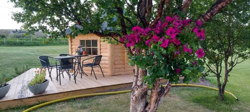 Сад, Varjjatgeainu Apartment Nesseby in Varangerbotn