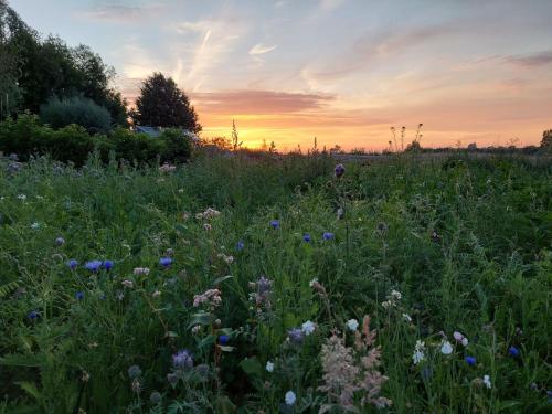 B&B Clogher Farm