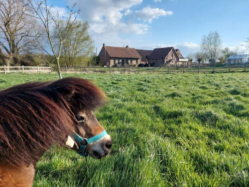 B&B Clogher Farm