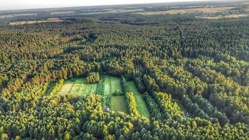 Wittówka - domek na wyłączność z dala od sąsiadów