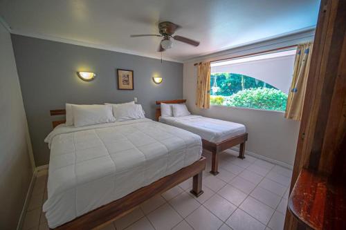 Lovely Condo near monkey habitat and beach in Damas
