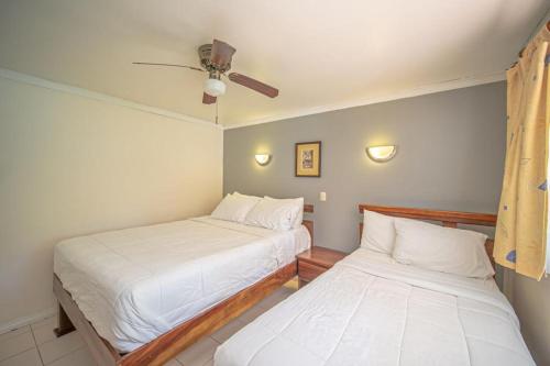 Lovely Condo near monkey habitat and beach in Damas