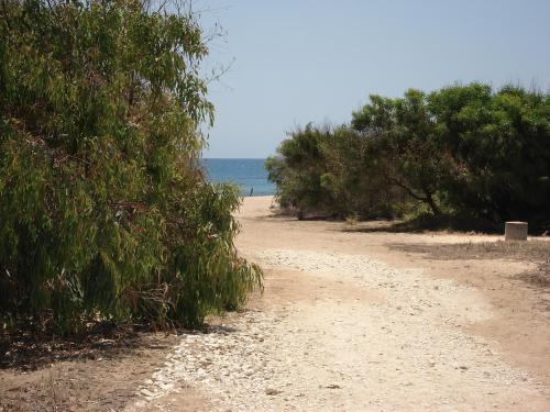 Capo Scalambri - image 10