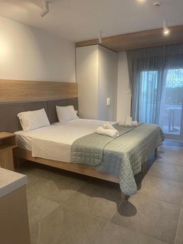 Asteras Hotel, Sarti (foto 3)