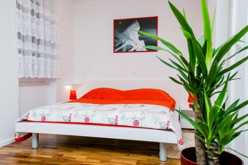 Guesthouse Old Mulberry 4