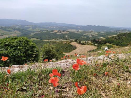  Casa Contadina in borgo medievale, Tuscany in Monteguidi