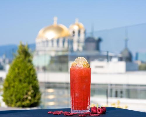 Hyatt Regency Sofia - image 5