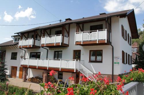 Schönes Doppelzimmer mit separater Küche im nördlichen Nationalpark Schwarzwald - Apartment - Forbach